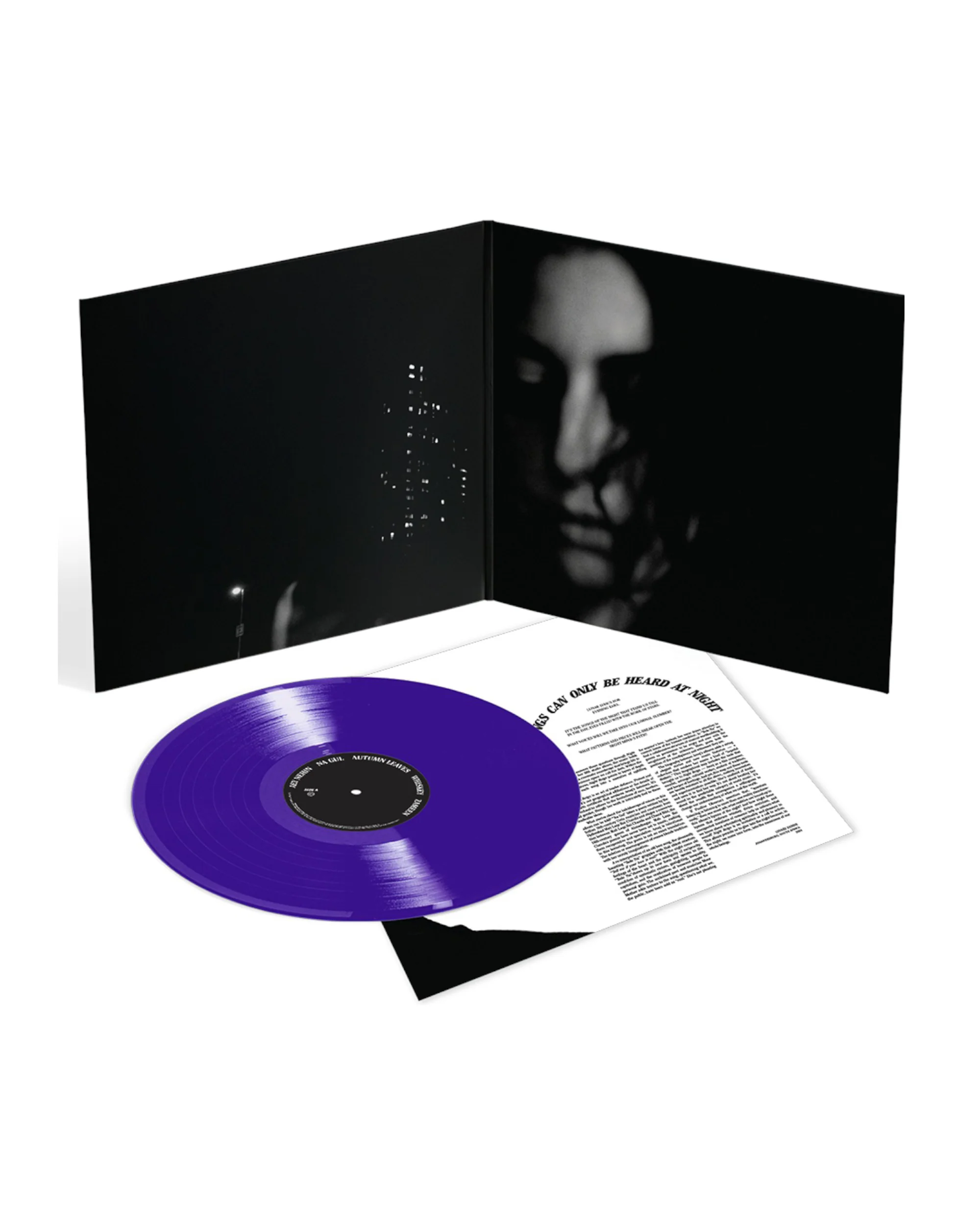 Arooj Aftab: Night Reign Translucent Purple LP - Image 2