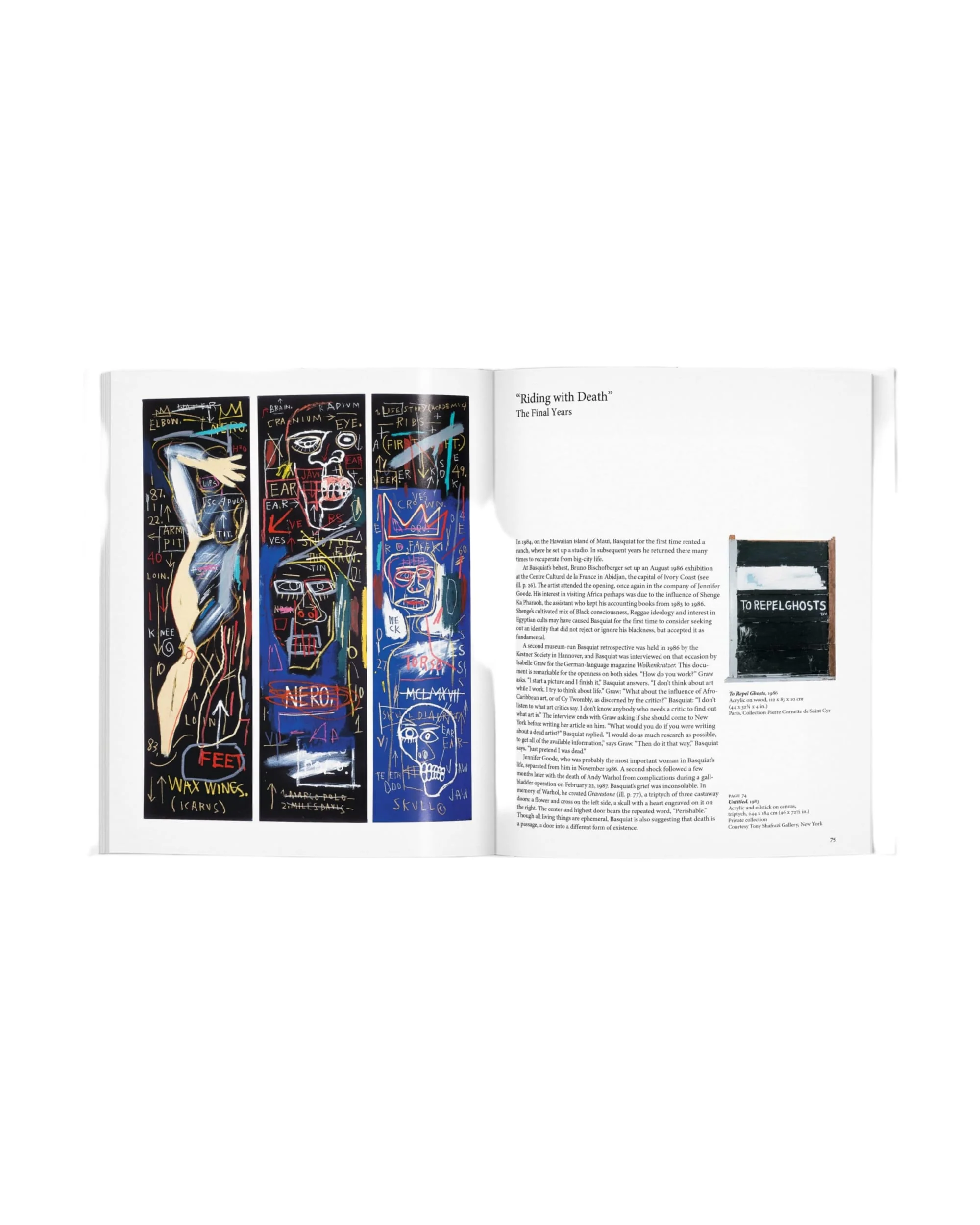 Basquiat (English) - Image 4
