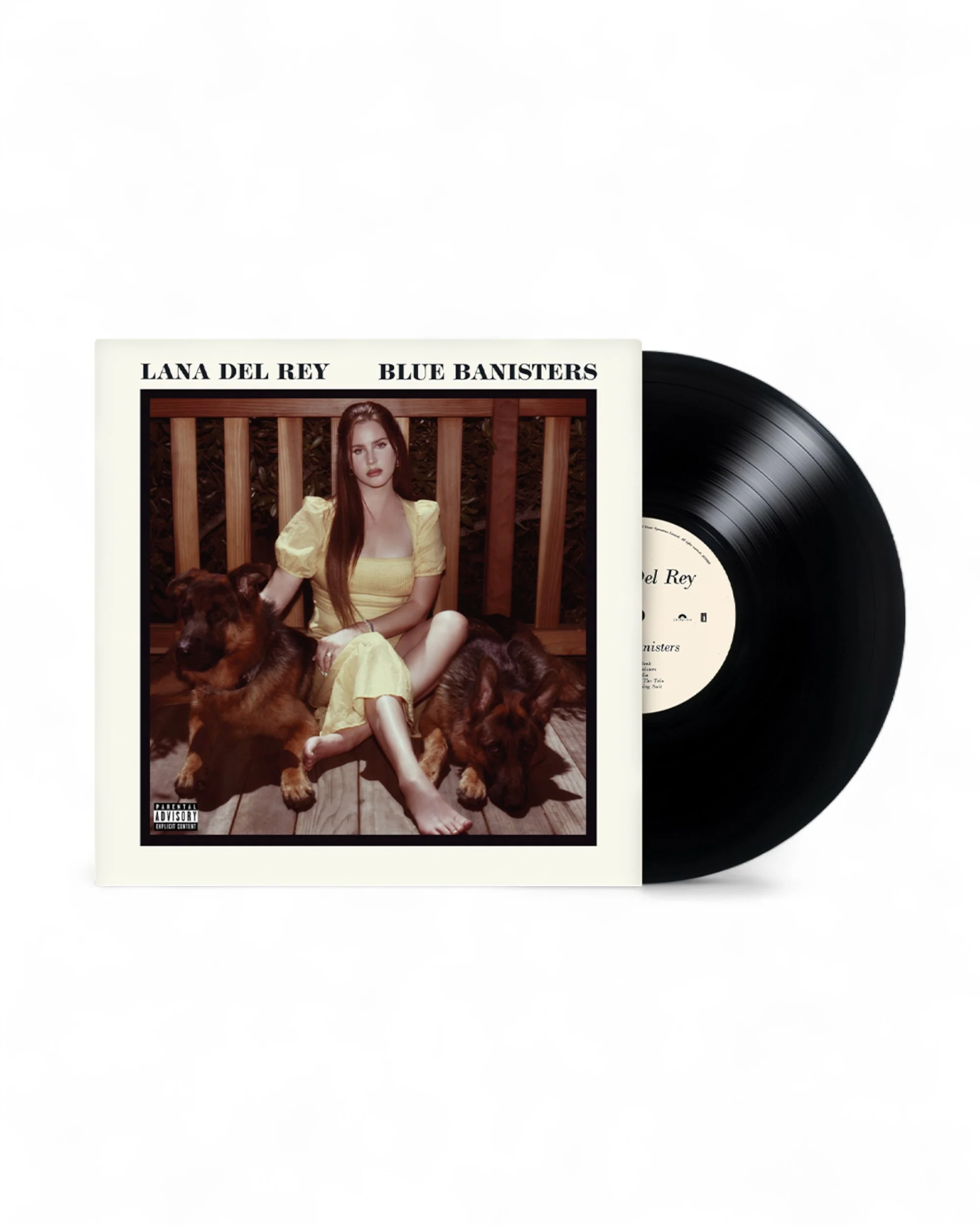 Blue Banisters: Vinyl 2LP