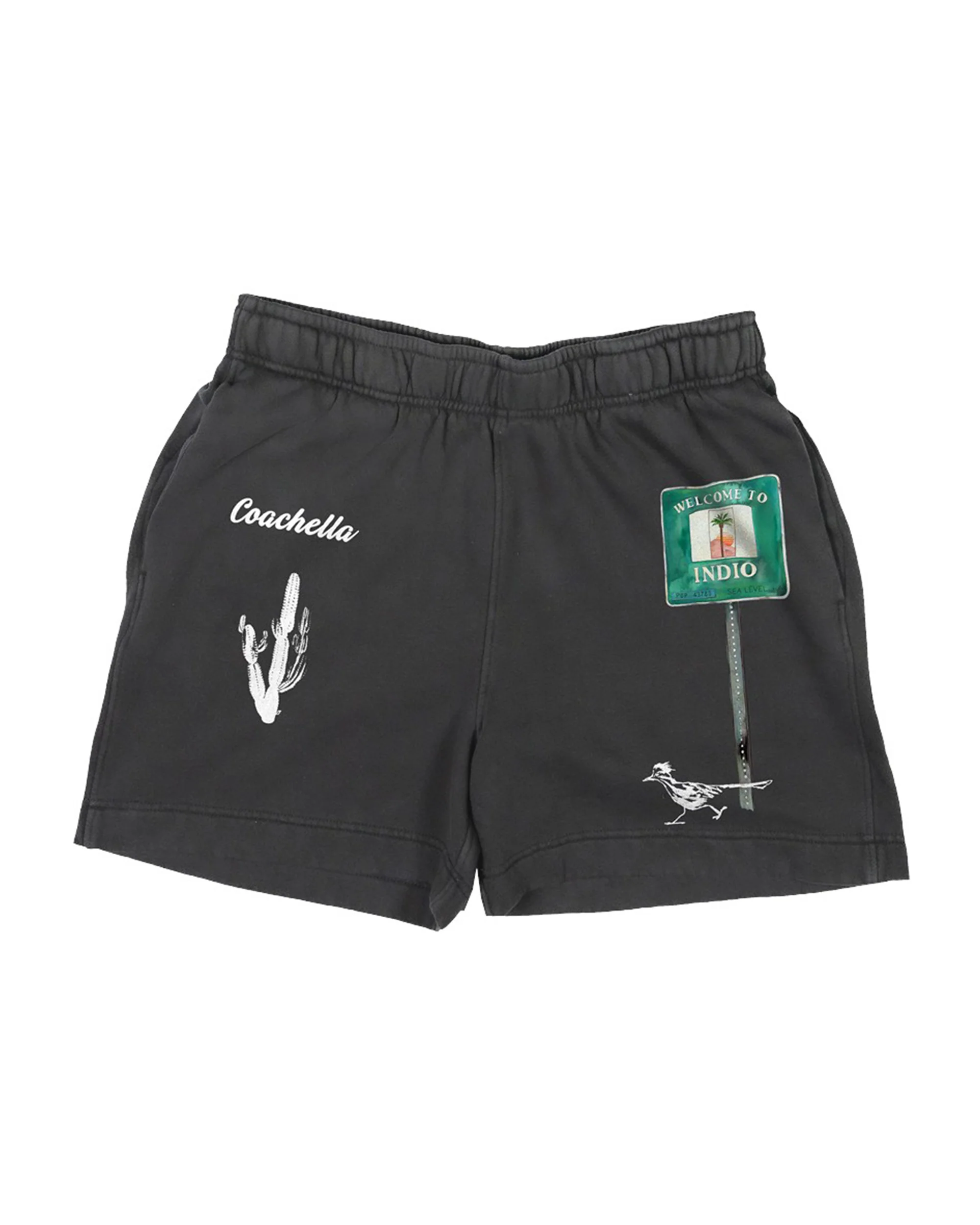 Desert Roadtrip Shorts