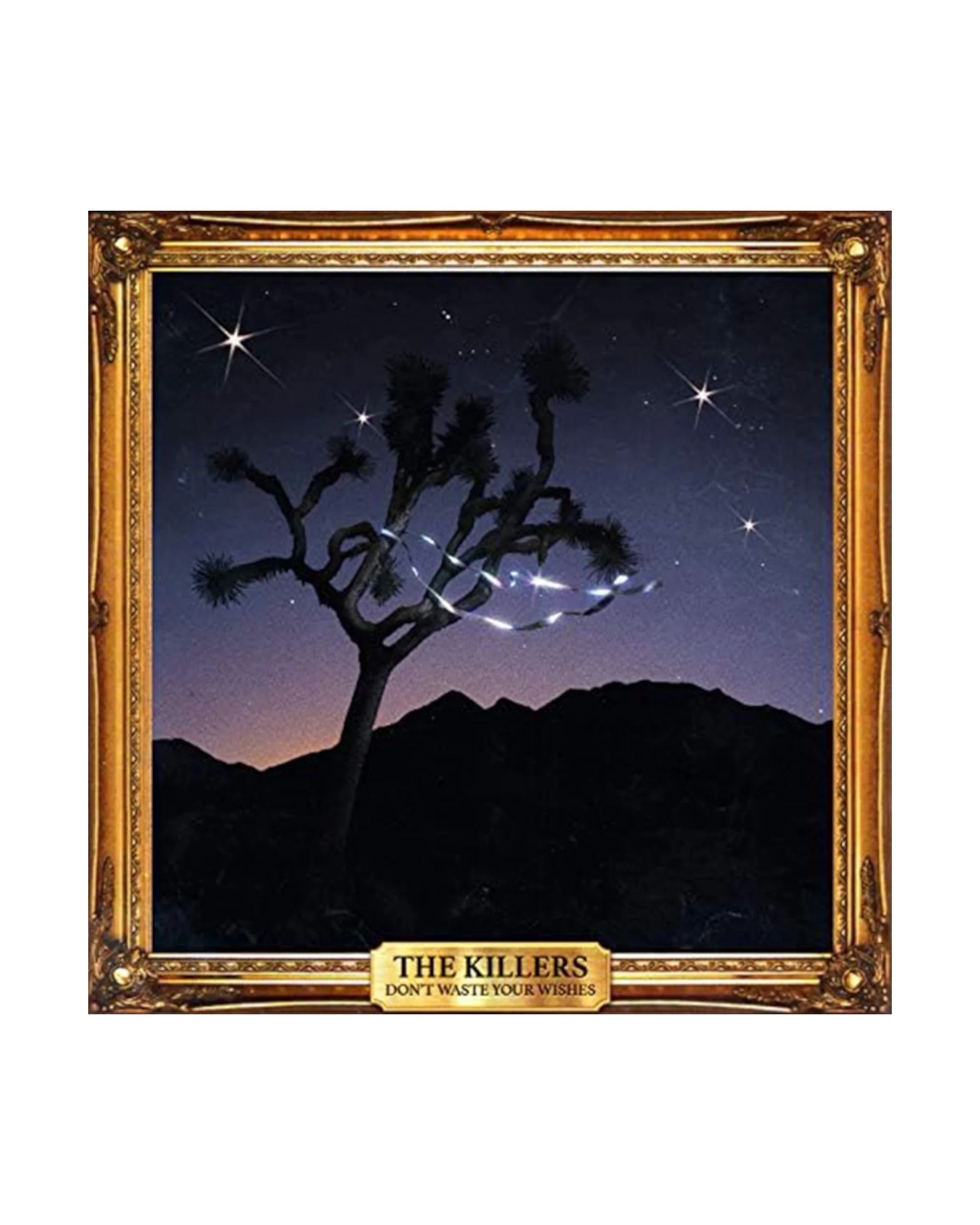 DON'T WASTE YOUR WISHES (D2C) LP