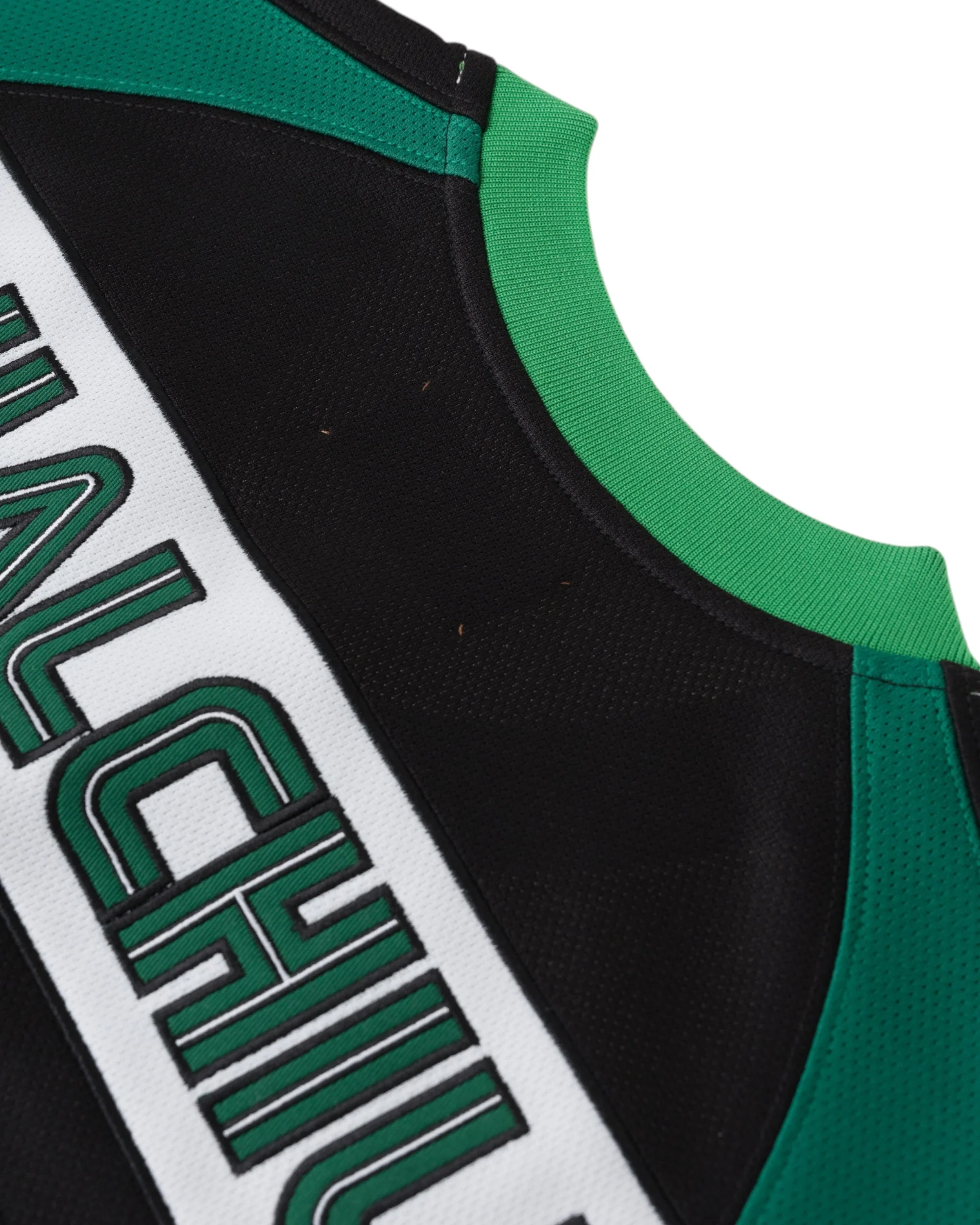 Double Lion Rhinestone Jersey in GREEN - Image 5