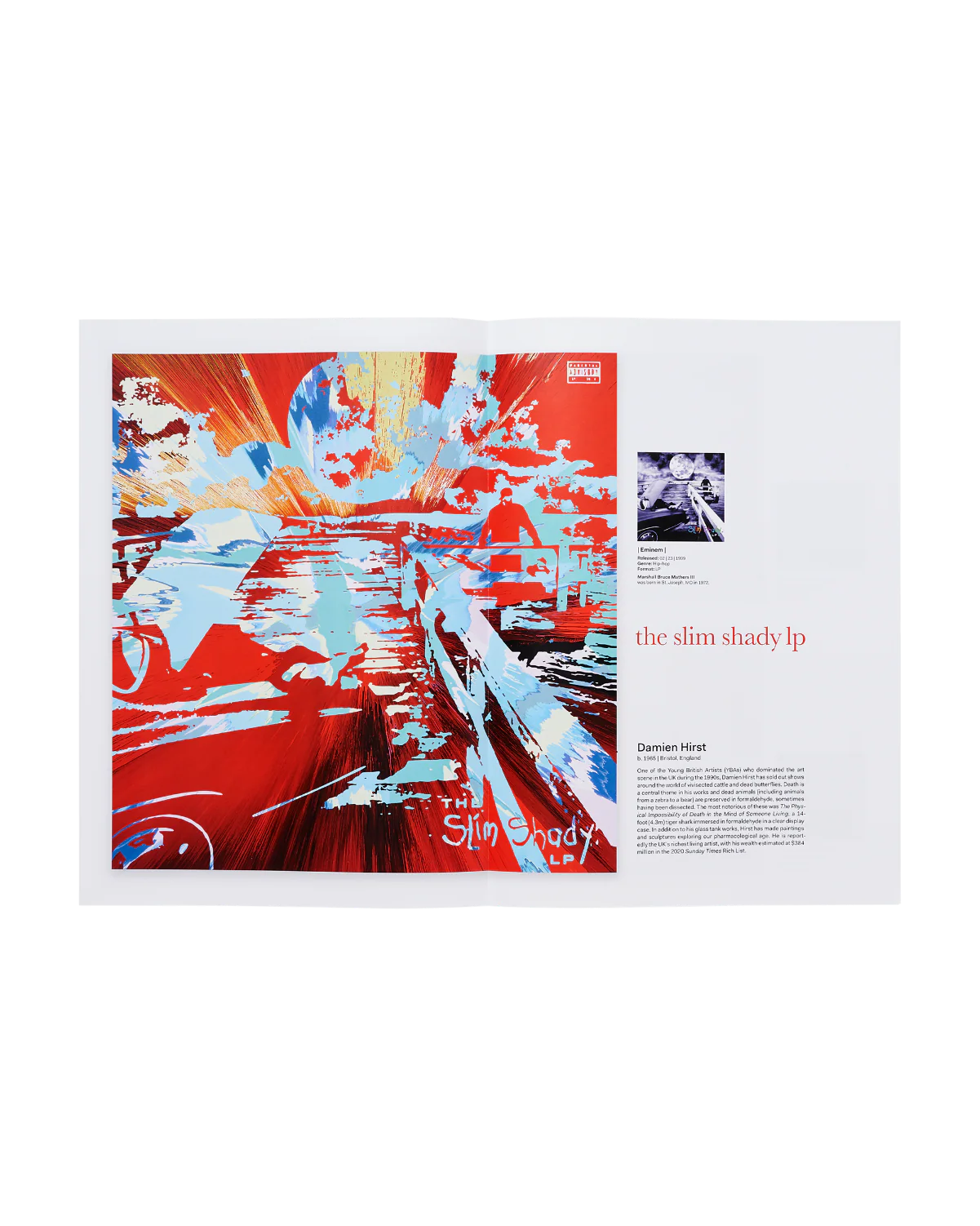 Eminem - Music To Be Murdered By by Damien Hirst Gallery Vinyl - Image 9