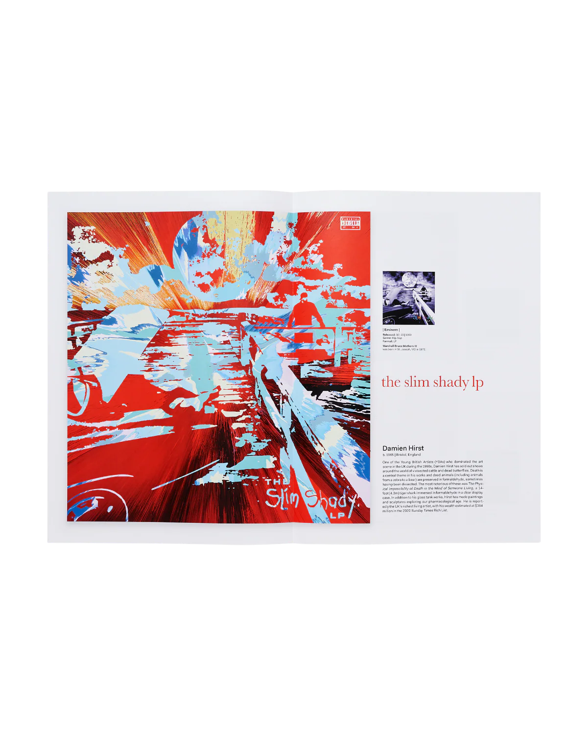 Eminem - Relapse by Damien Hirst Gallery Vinyl - Image 9