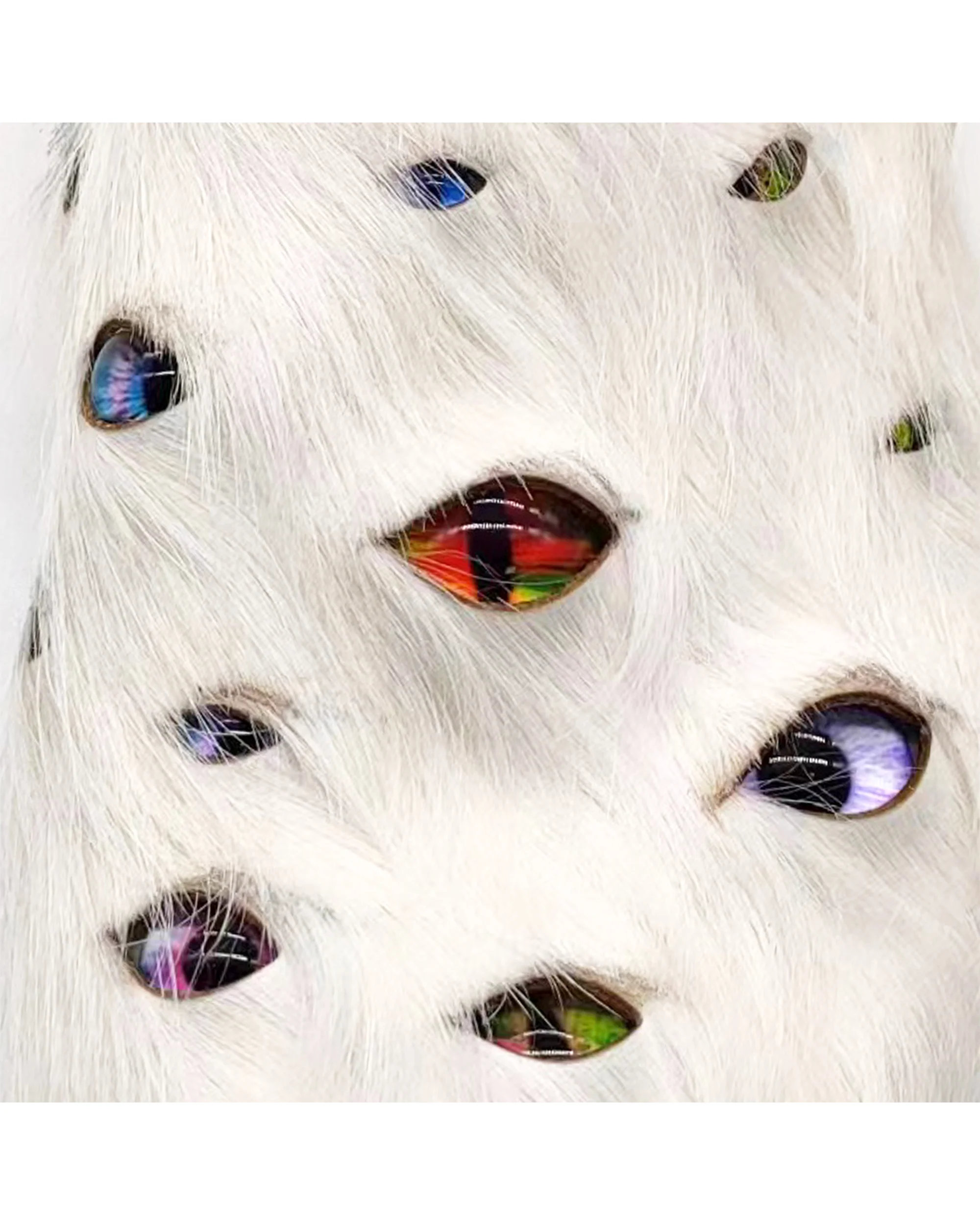 Eyeball Mules - White - Image 8