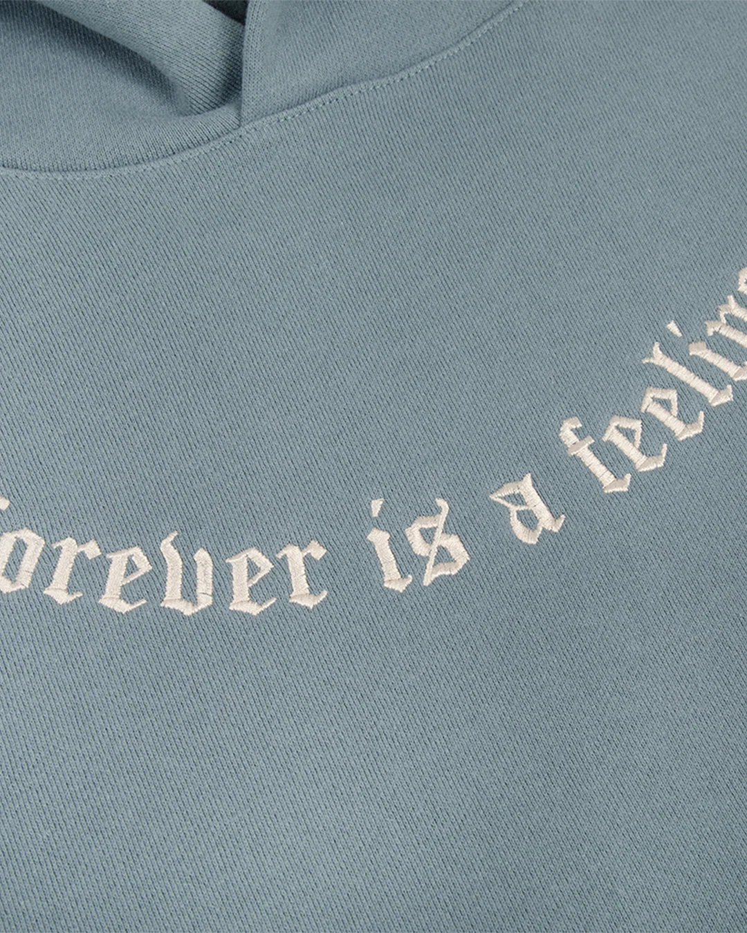 Forever is a Feeling Embroidered Hoodie - Image 2