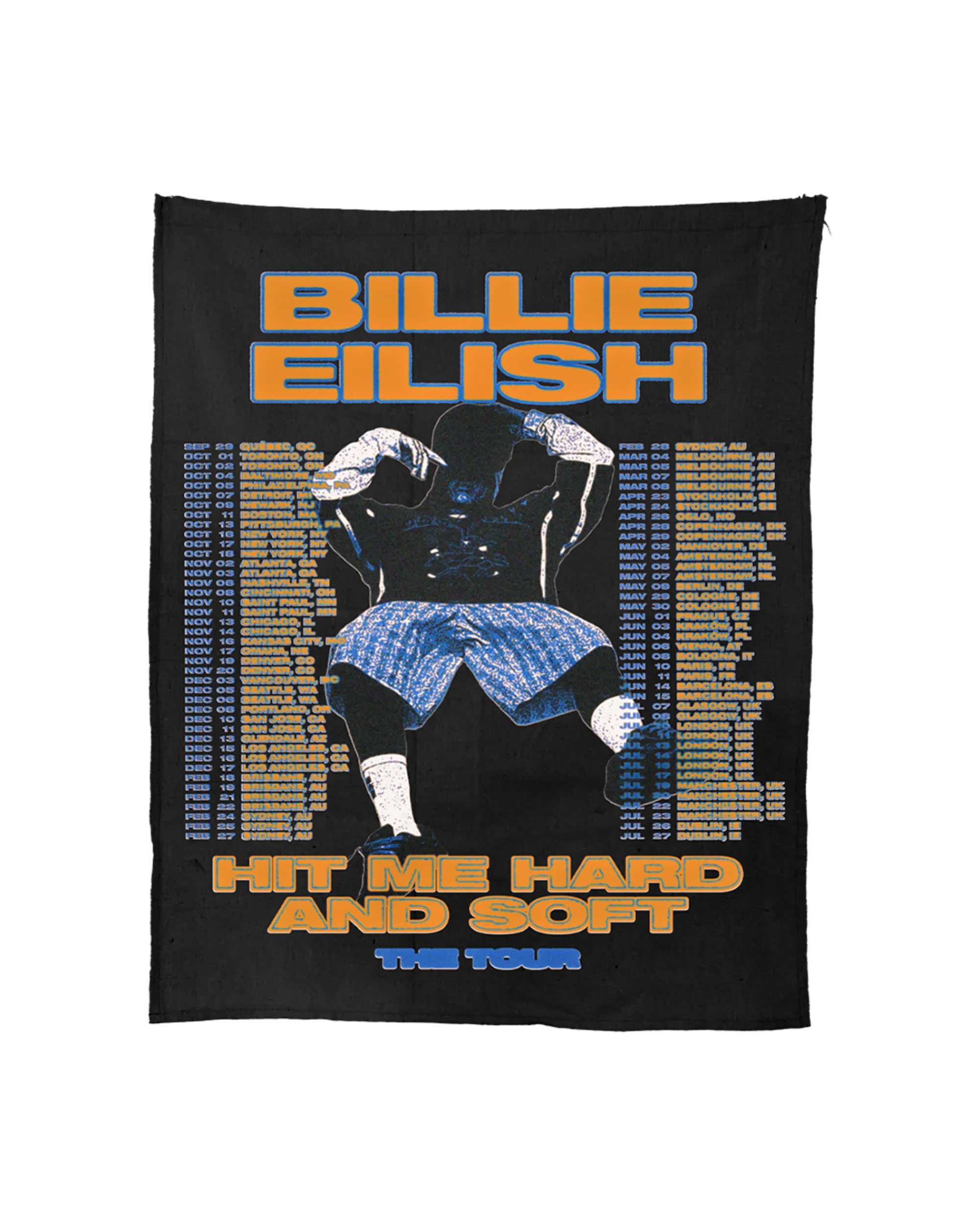 HIT ME HARD AND SOFT: THE TOUR 2024 Canvas Fabric Poster