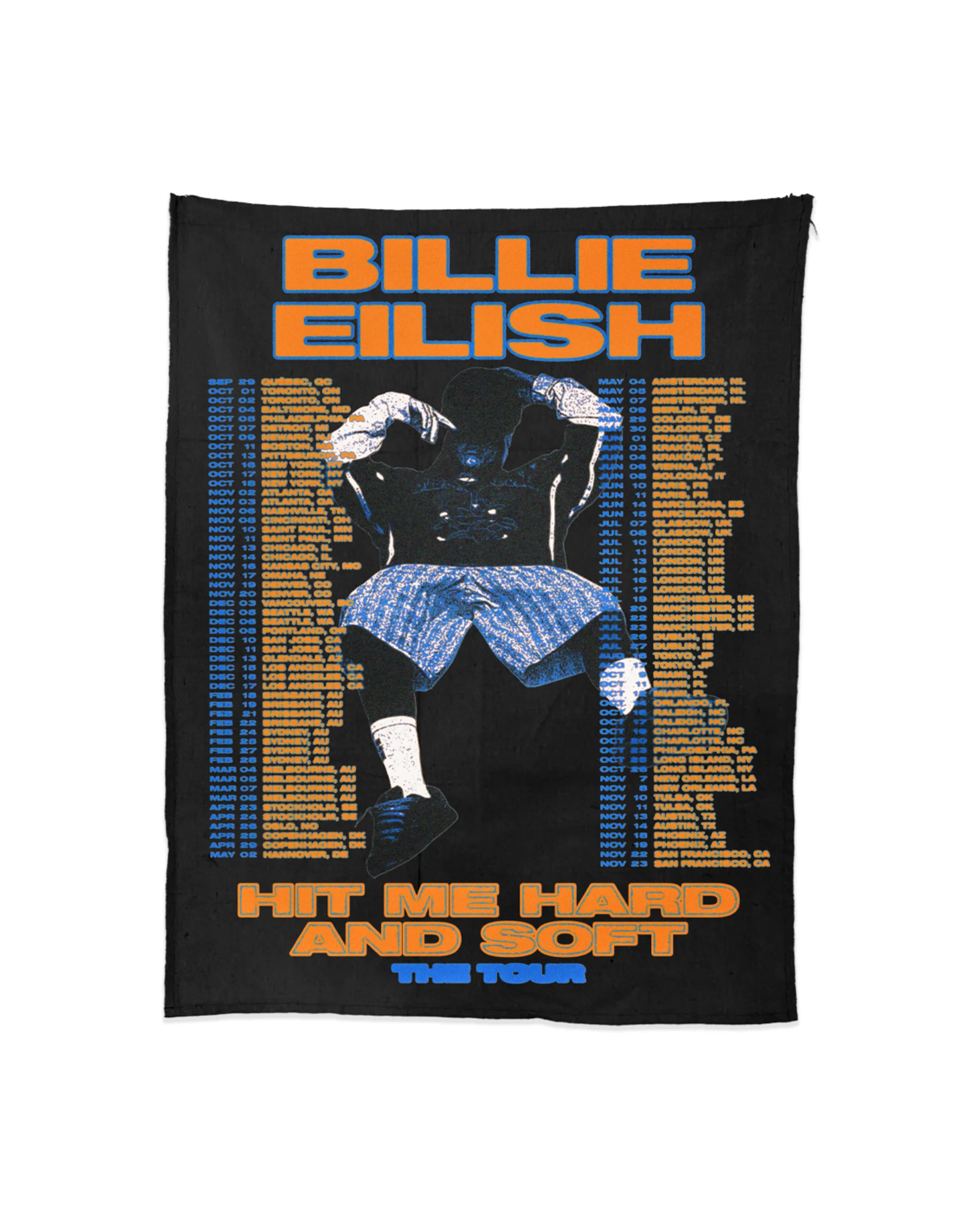 HIT ME HARD AND SOFT: THE TOUR 2025 Canvas Fabric Poster
