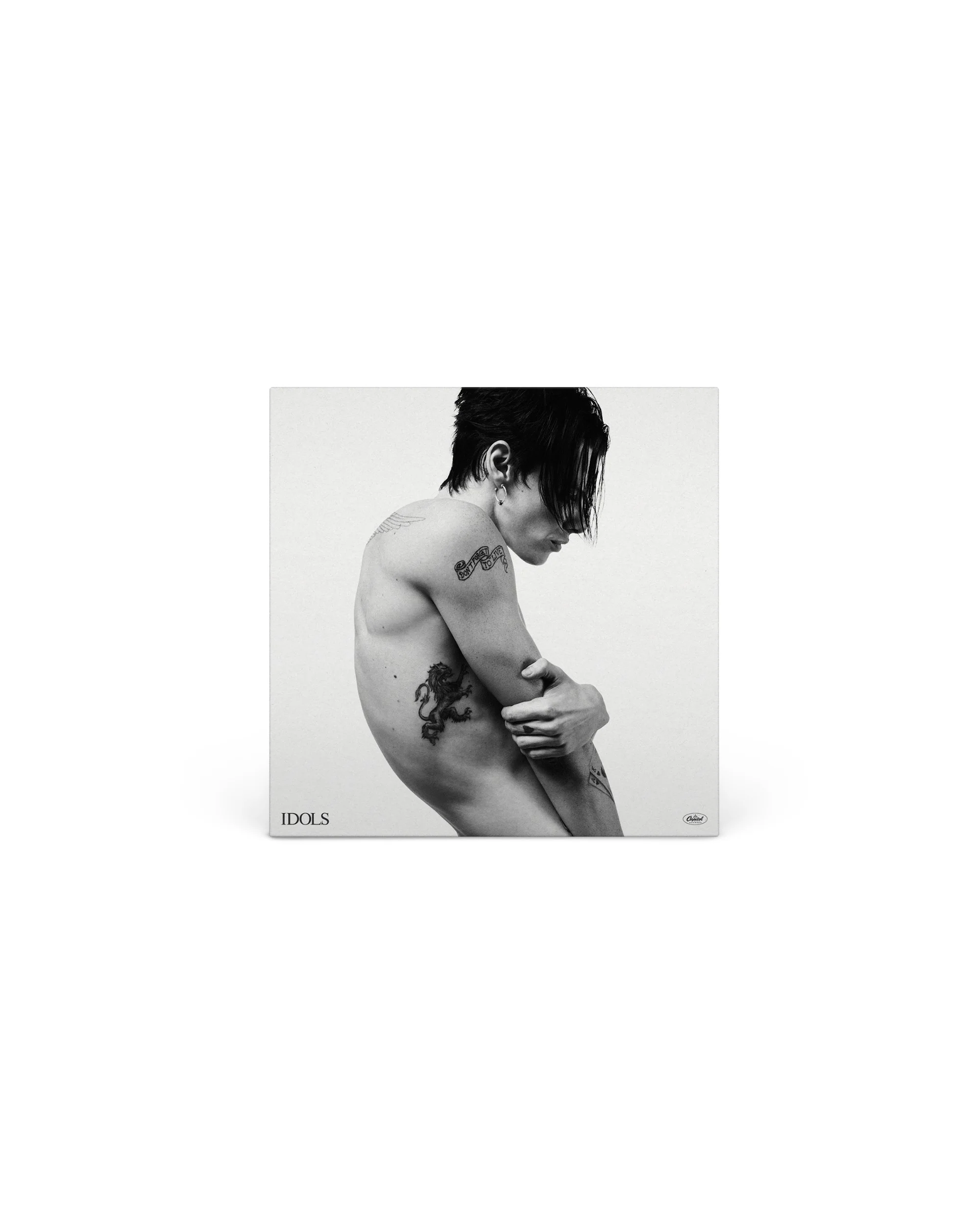Idols Vinyl - Image 4