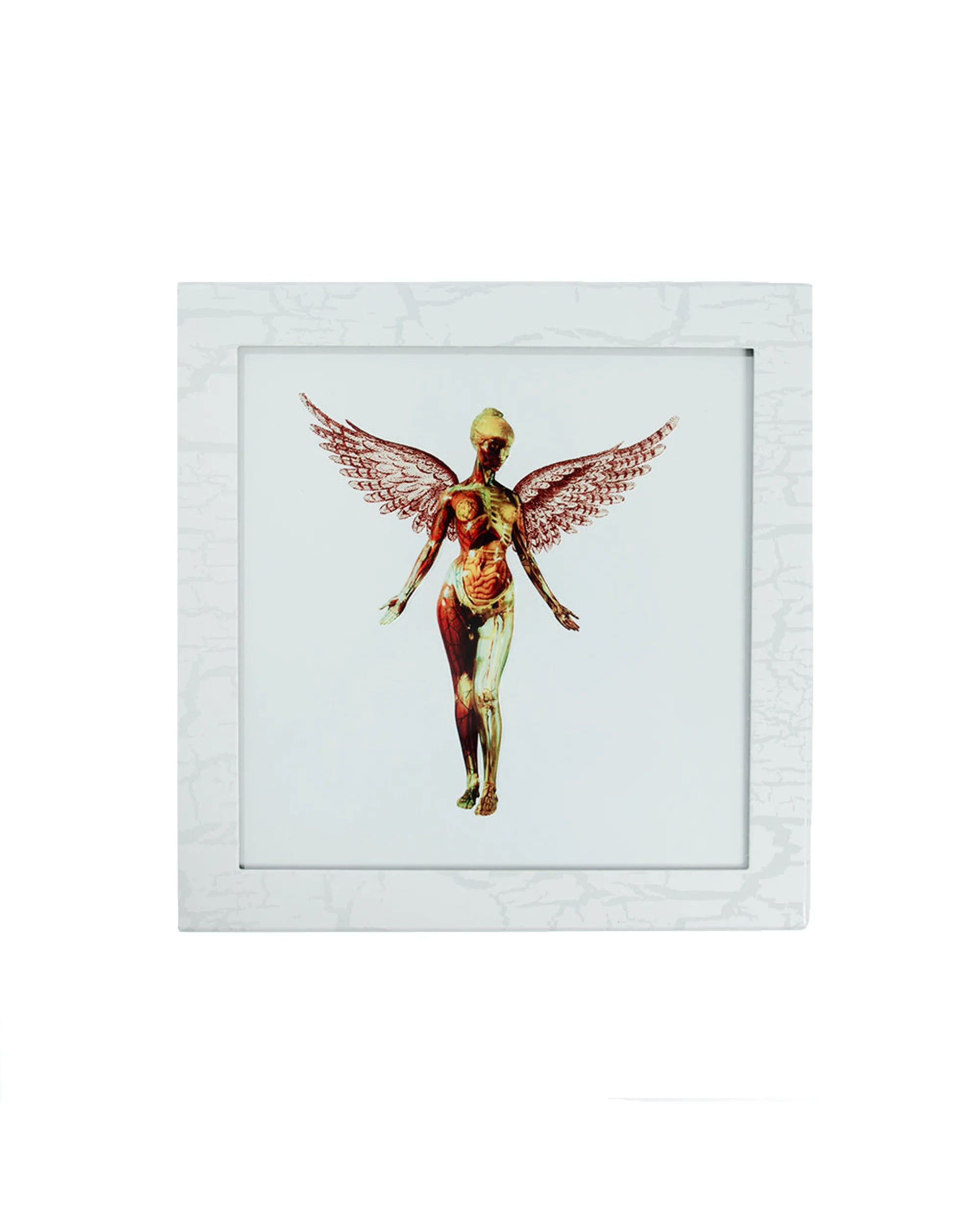 In Utero 30th Anniversary Super Deluxe Box Set - Image 3
