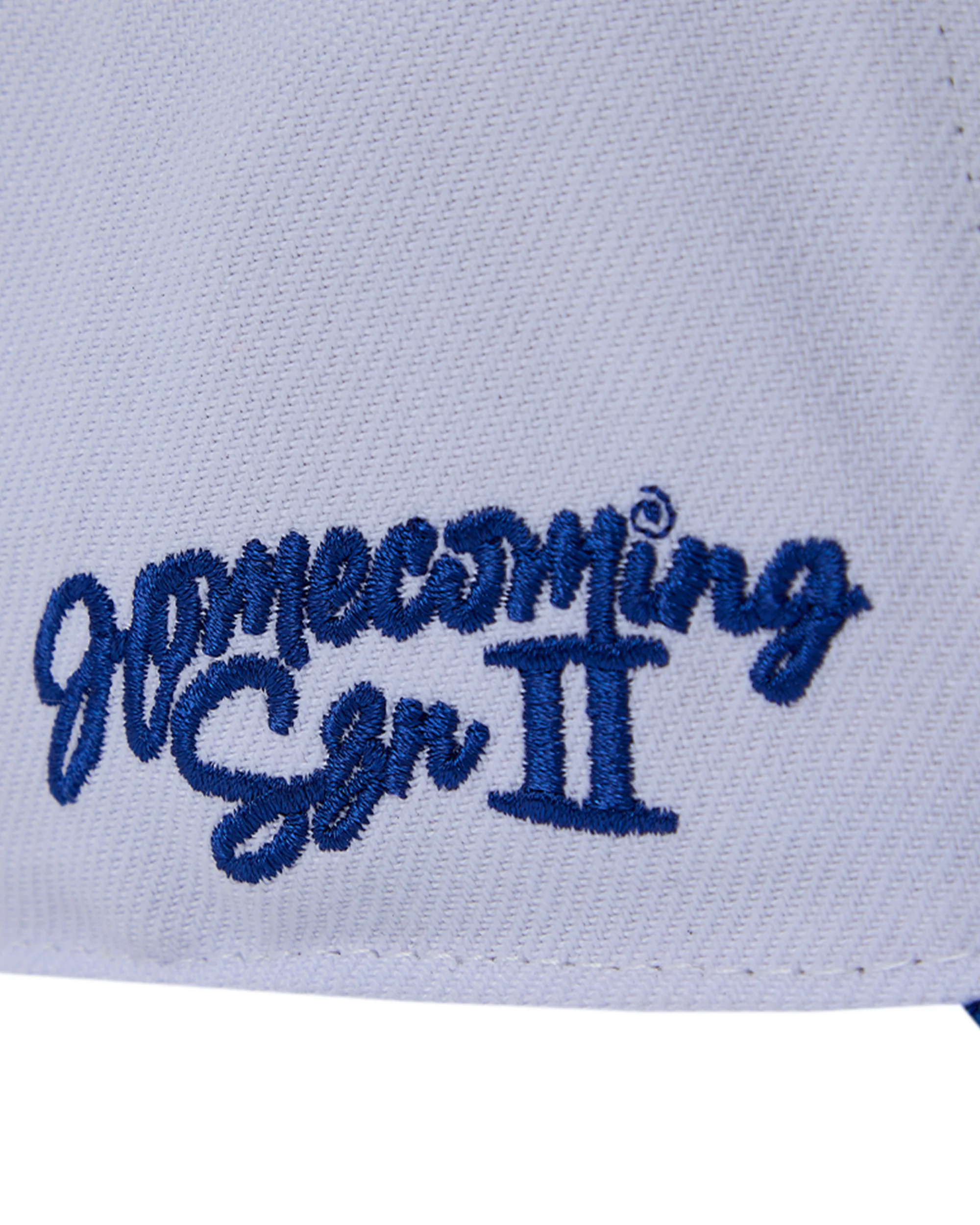 Interscope Blue University Snapback Hat - Image 4