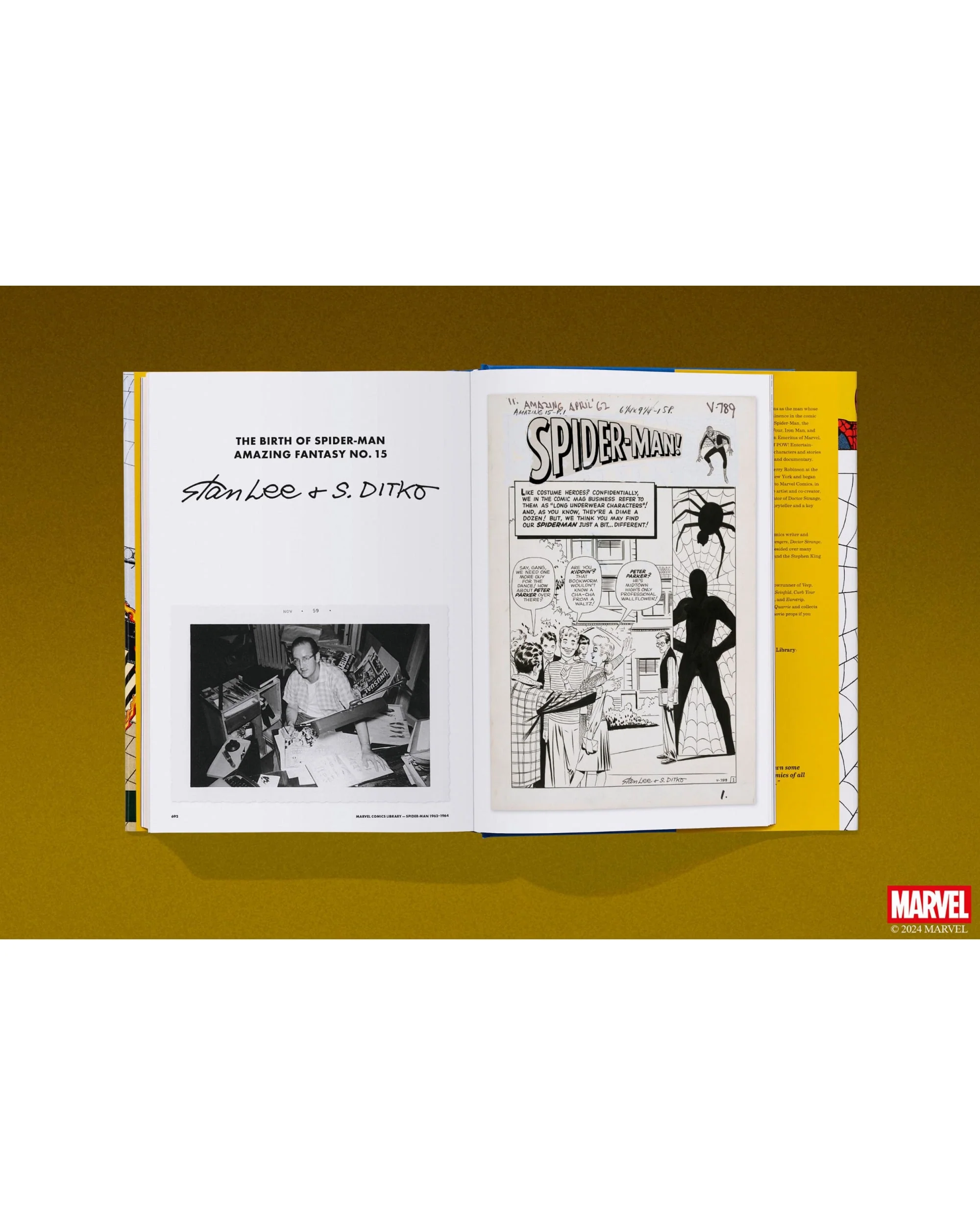 Marvel Comics Library. Spider-Man. 1962–1964 (English) - Image 10