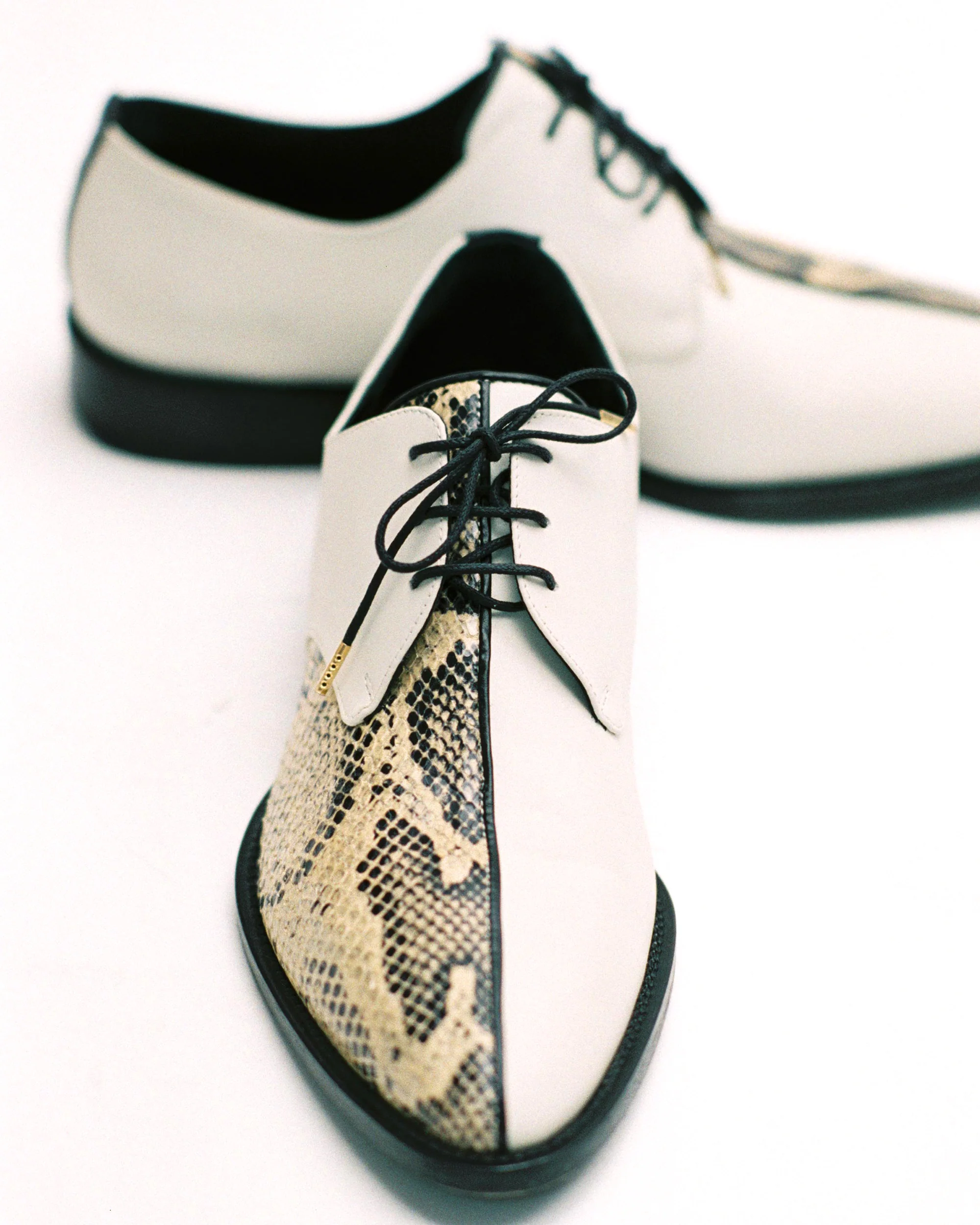 MEMPHIS BONE / RATTLESNAKE - Image 5