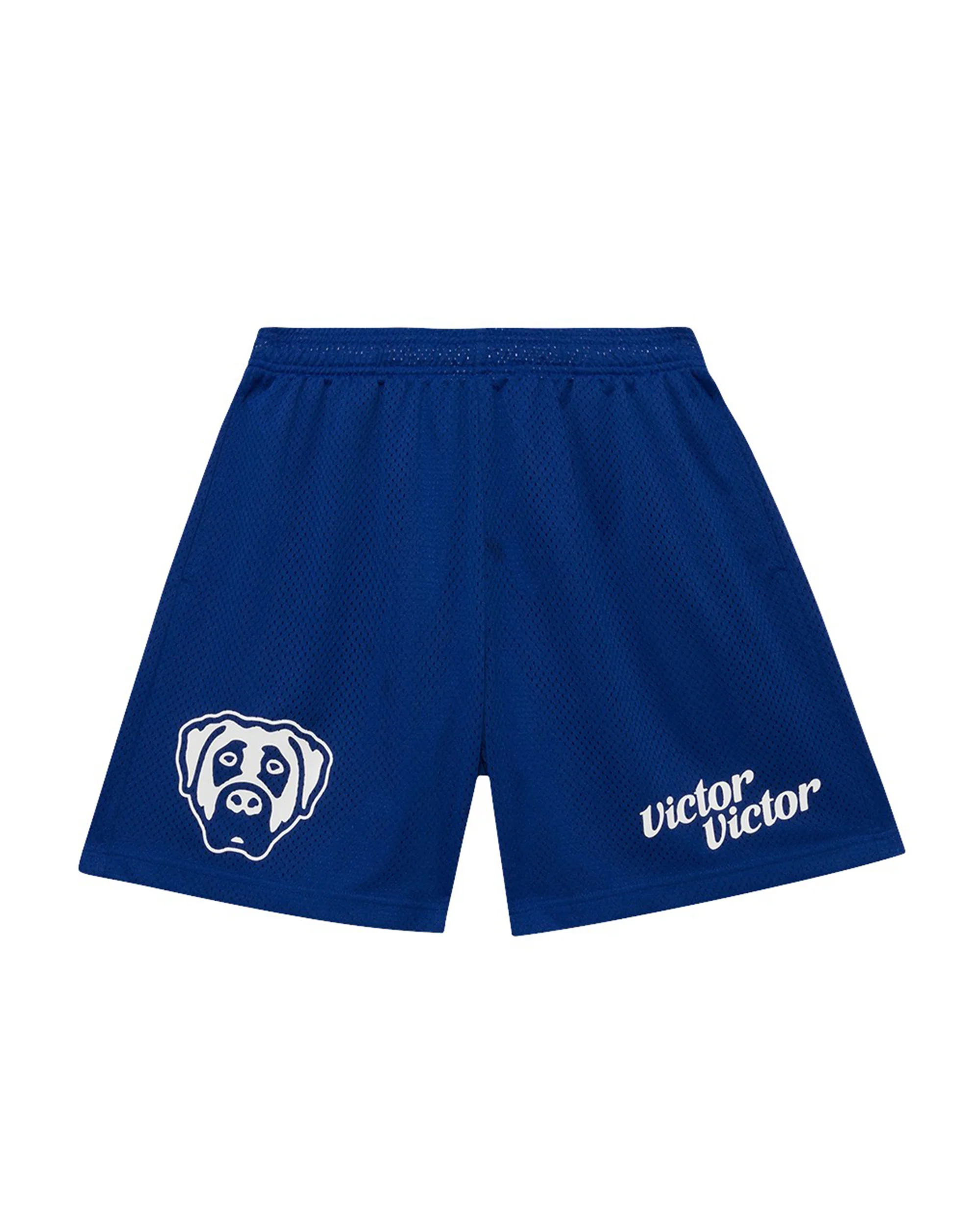 MESH SHORTS (BLUE)