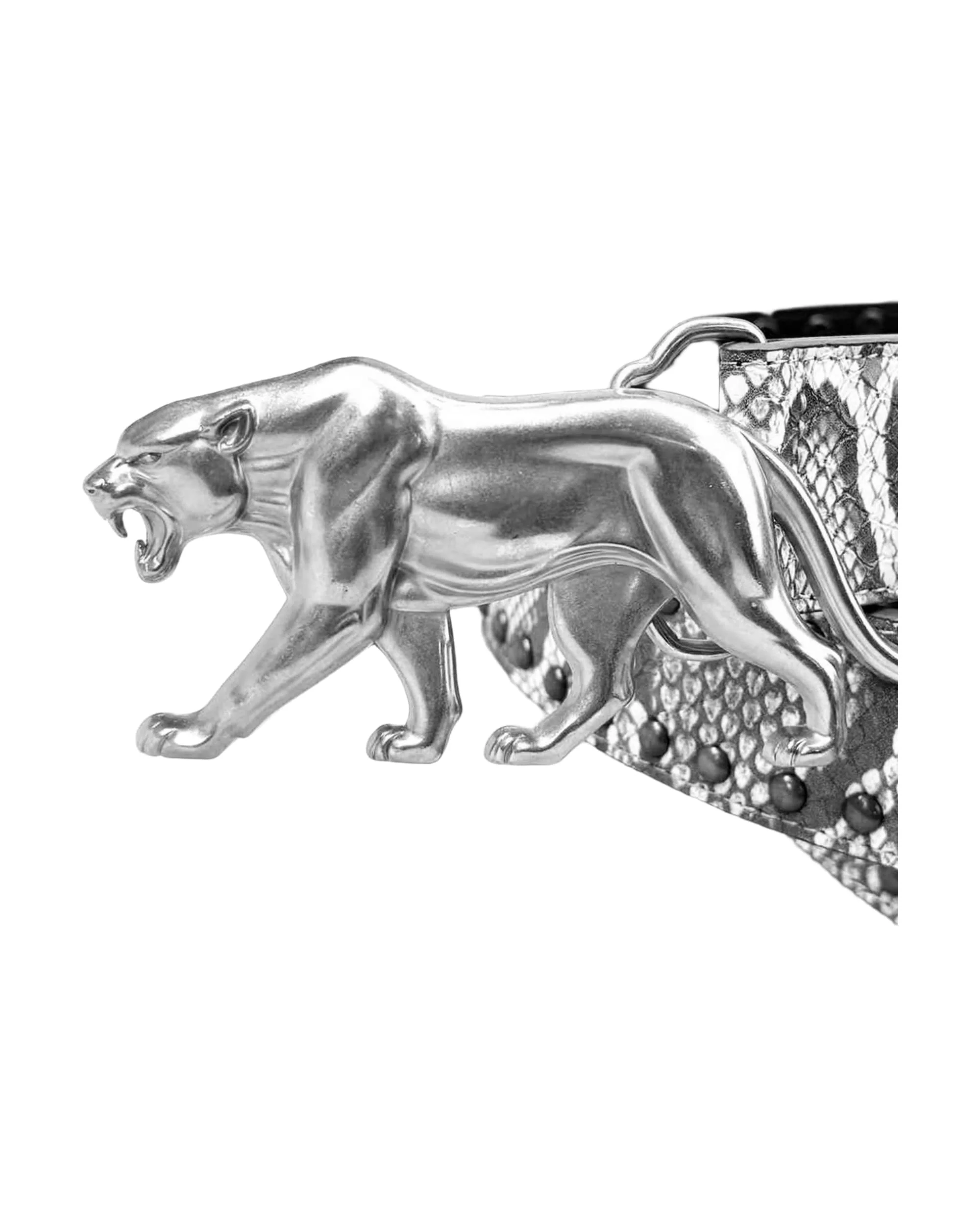 "PANTHER" BELT - ARCTIC STORM - Image 4