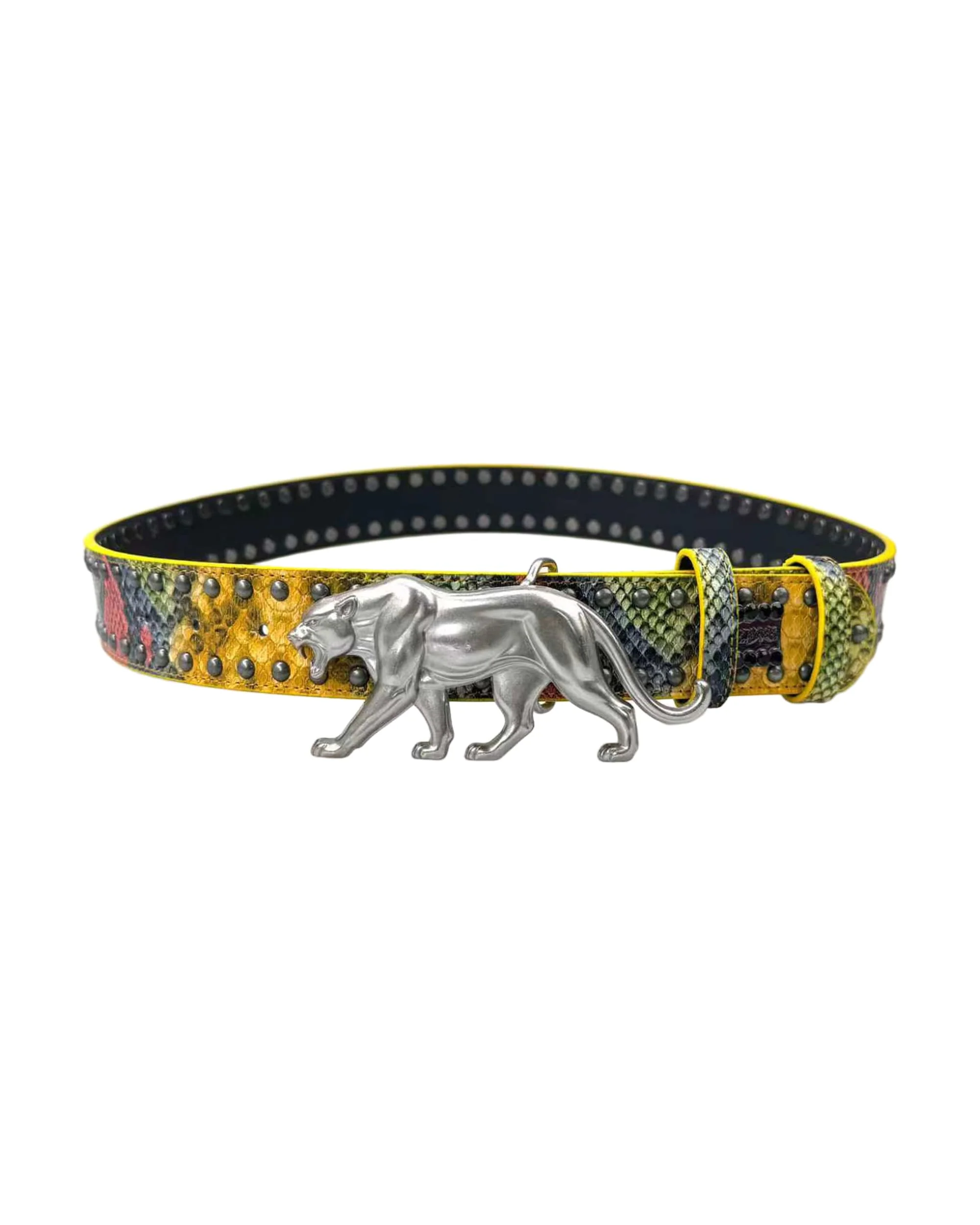 "PANTHER" BELT - DRAGONSKIN - Image 2