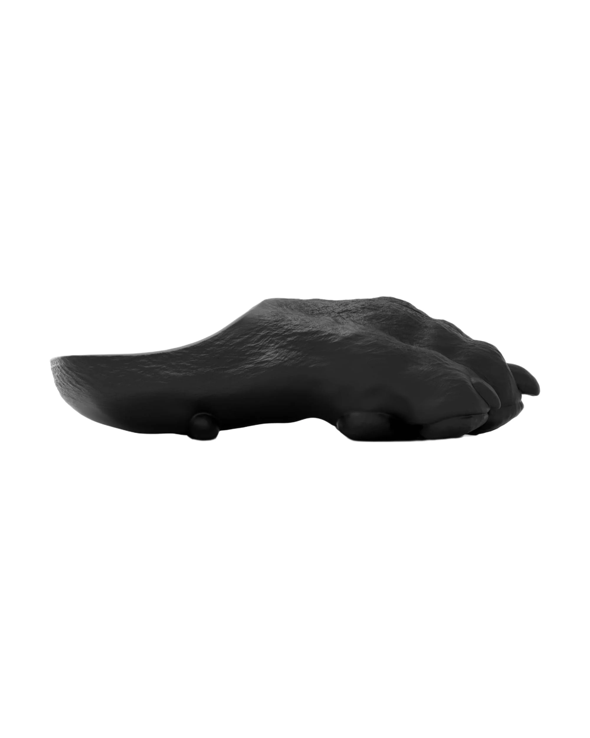 Panther Paws - Image 2