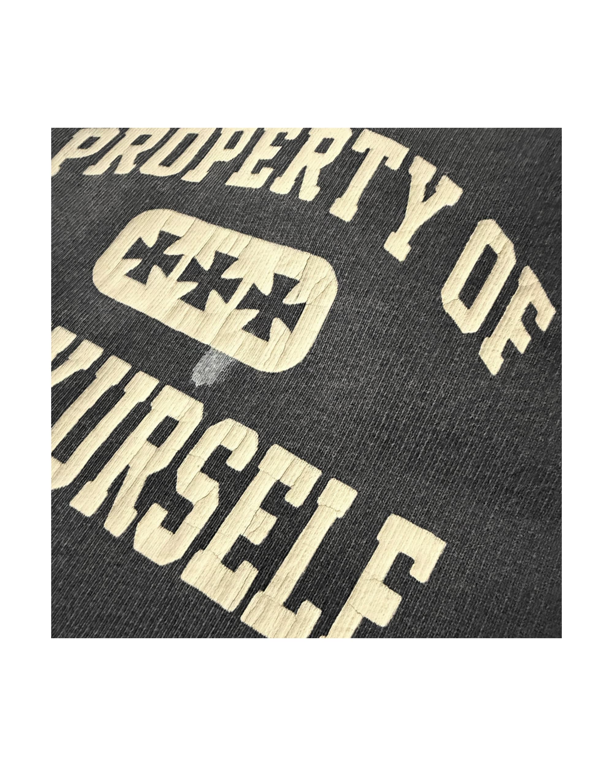 PROPERTY FLEECE SHORTS - Image 4