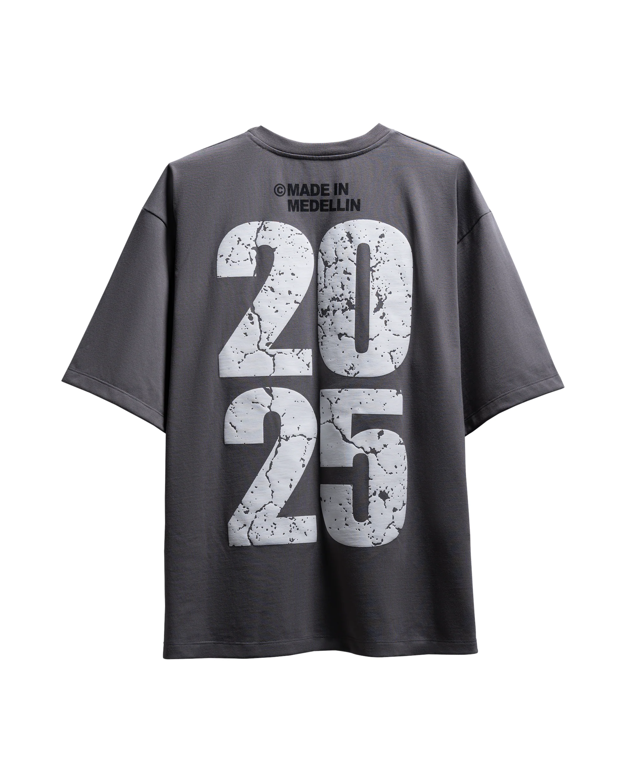 RAYO TOUR 2025 GREY T-SHIRT - Image 2