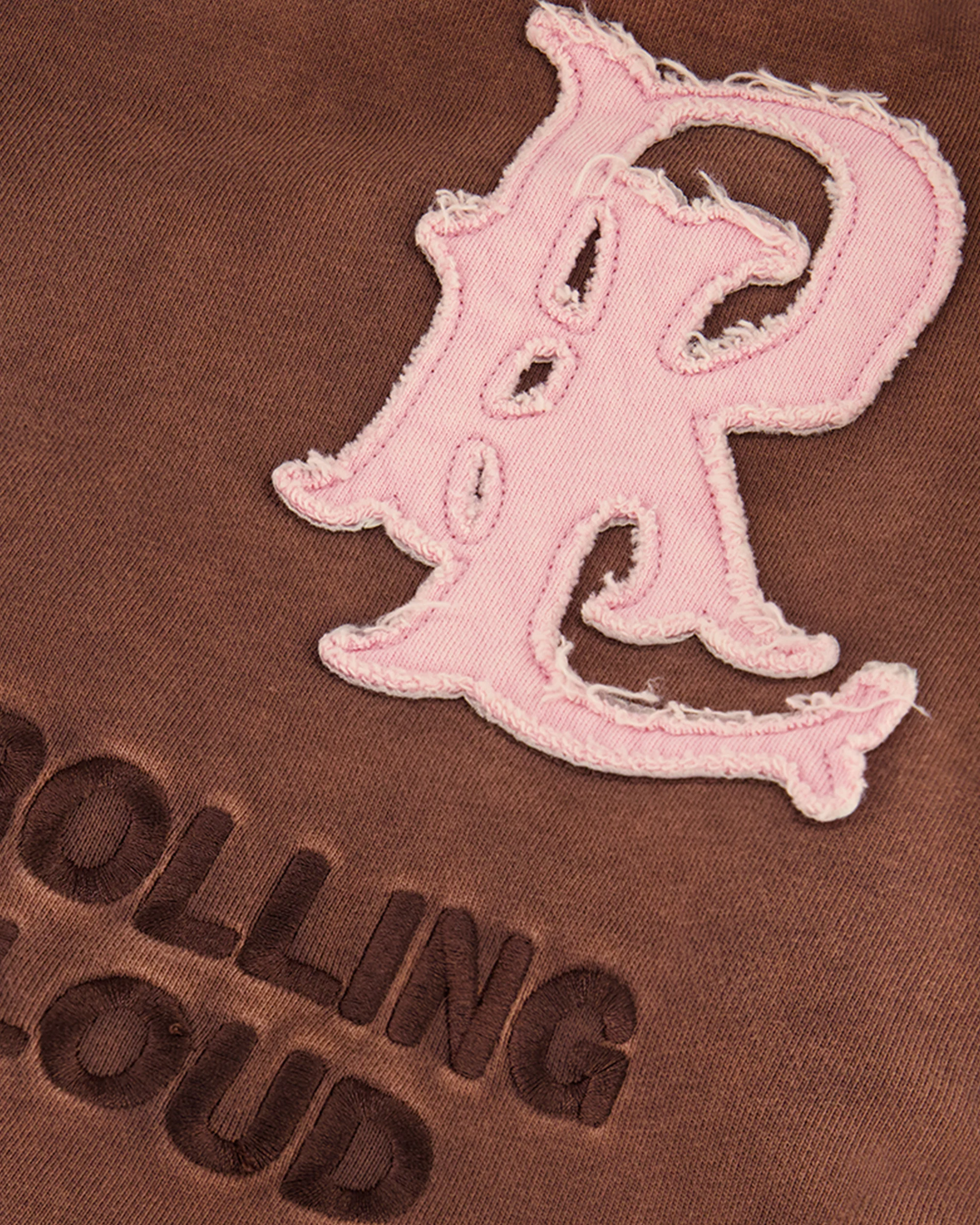 RL APPLIQUE ZIP UP HOODIE - Image 3