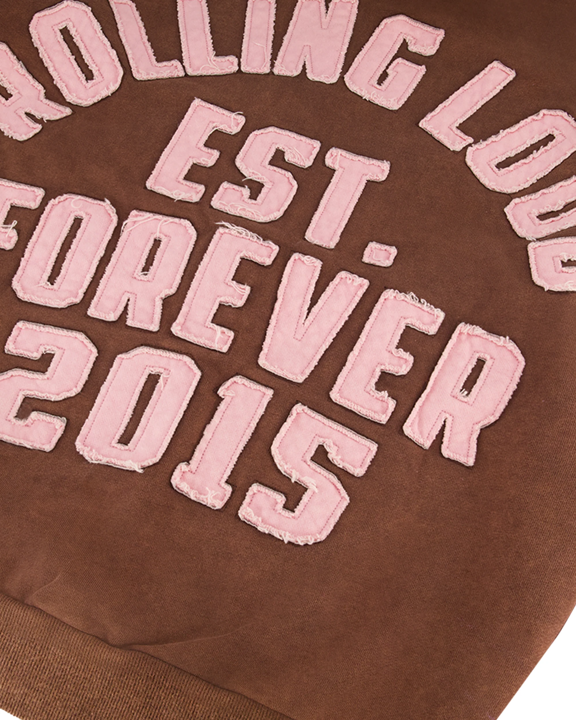 RL APPLIQUE ZIP UP HOODIE - Image 5
