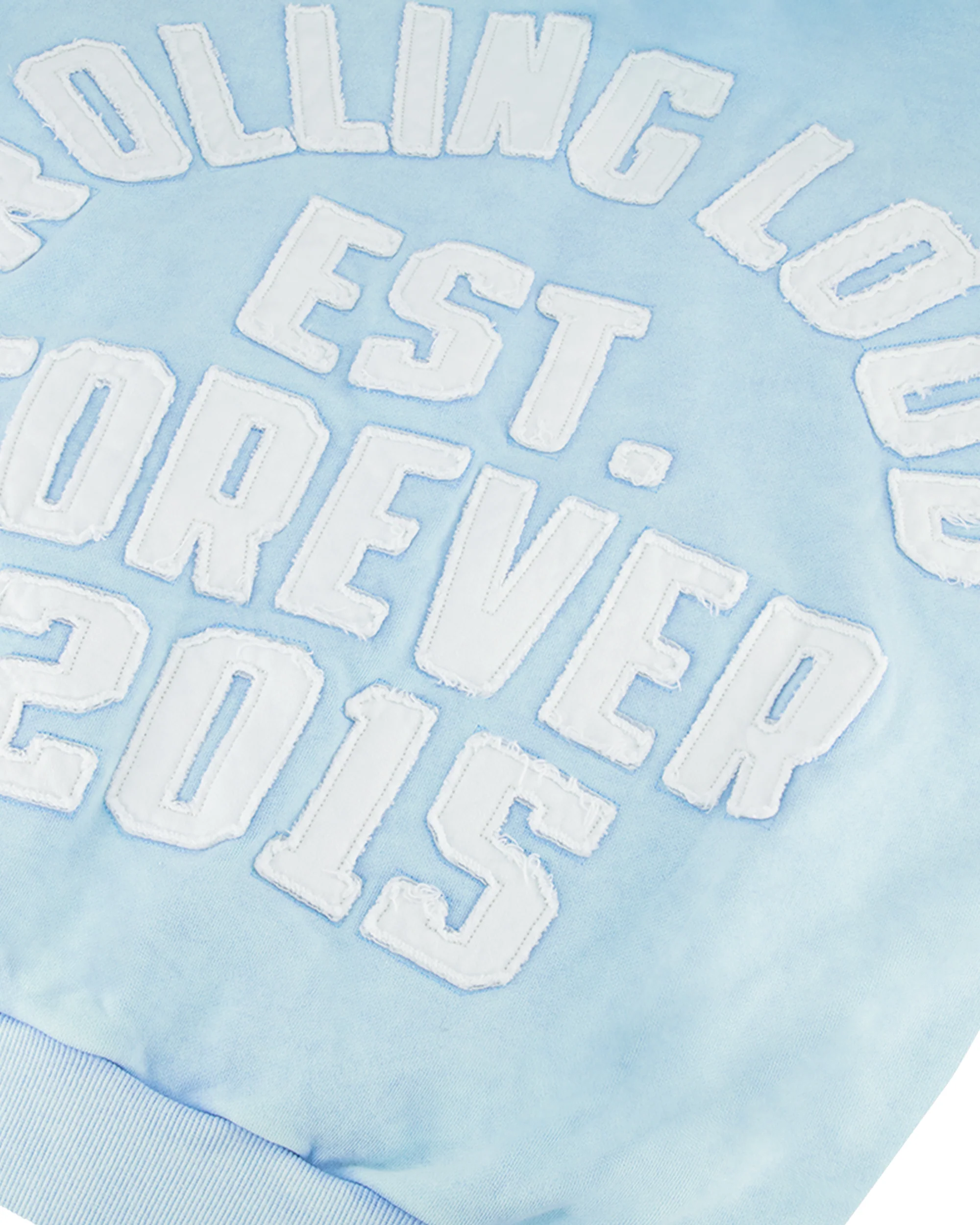 RL APPLIQUE ZIP UP HOODIE - Image 5