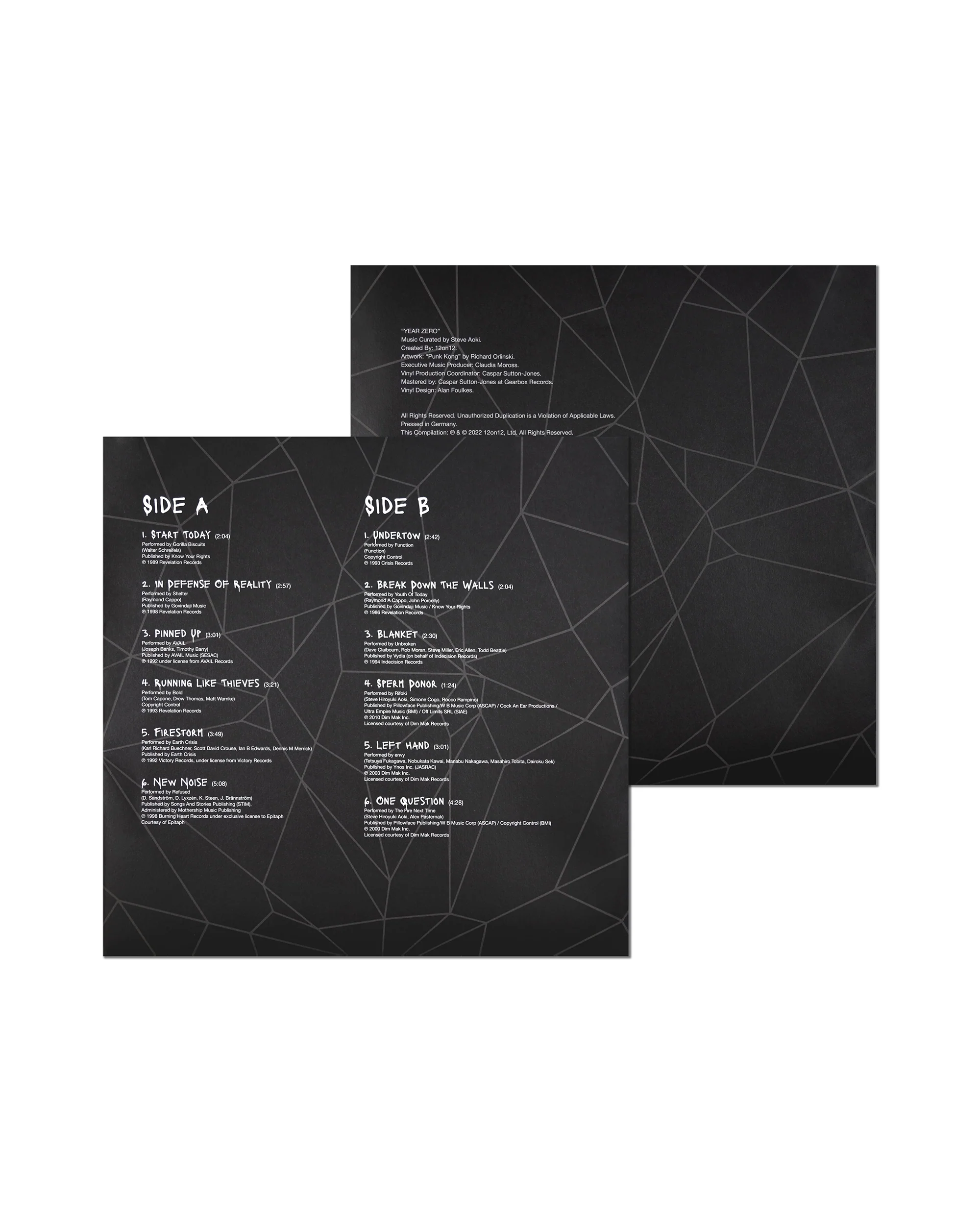 Steve Aoki x Richard Orlinski Vinyl Record - Image 4