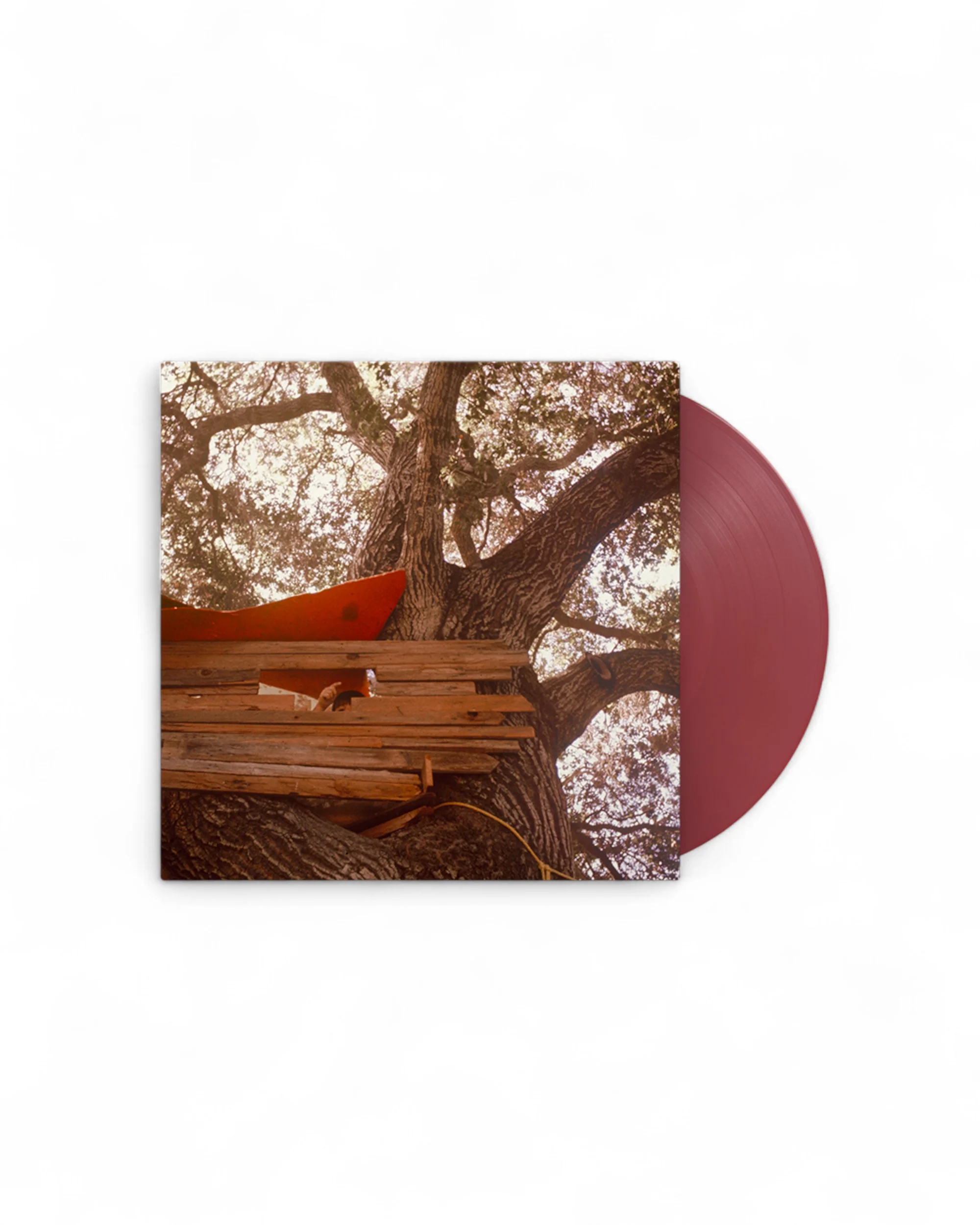 The Backseat Lovers - Waiting to Spill - Anniversary Edition Vinyl - Image 3