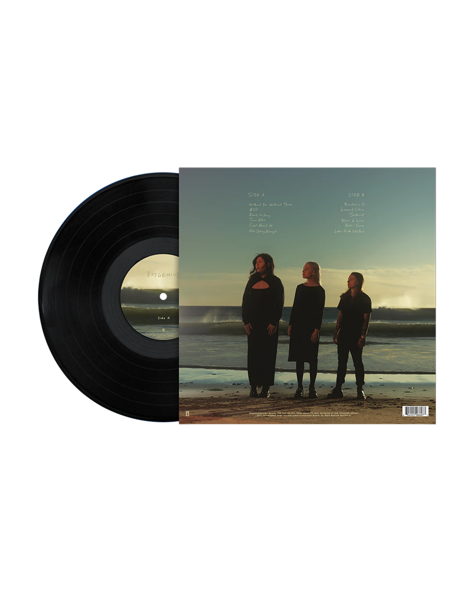 the record' Vinyl LP [Black] - Image 3
