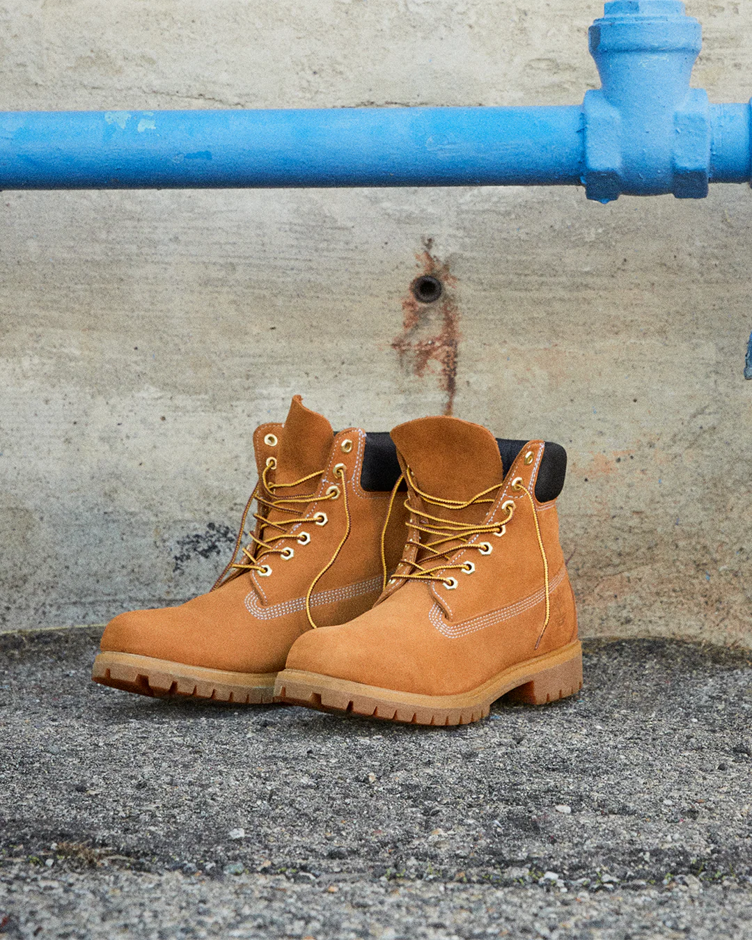Timberland Premium 6-Inch Waterproof Boot - Wheat - Image 15