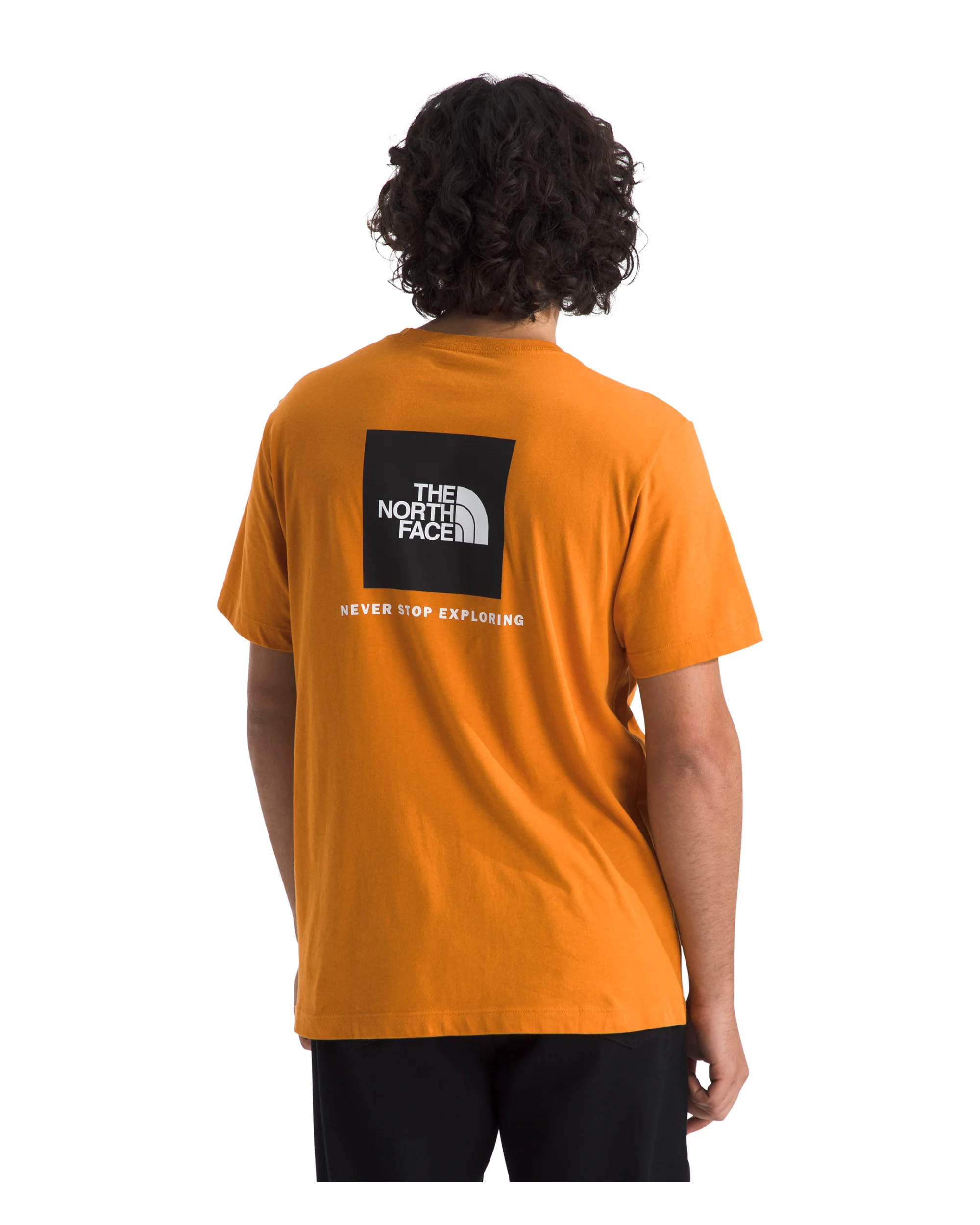 TNF MEN'S EVOLUTION BOX NSE REGULAR SHORT-SLEEVE TEE - ORANGE - Image 2