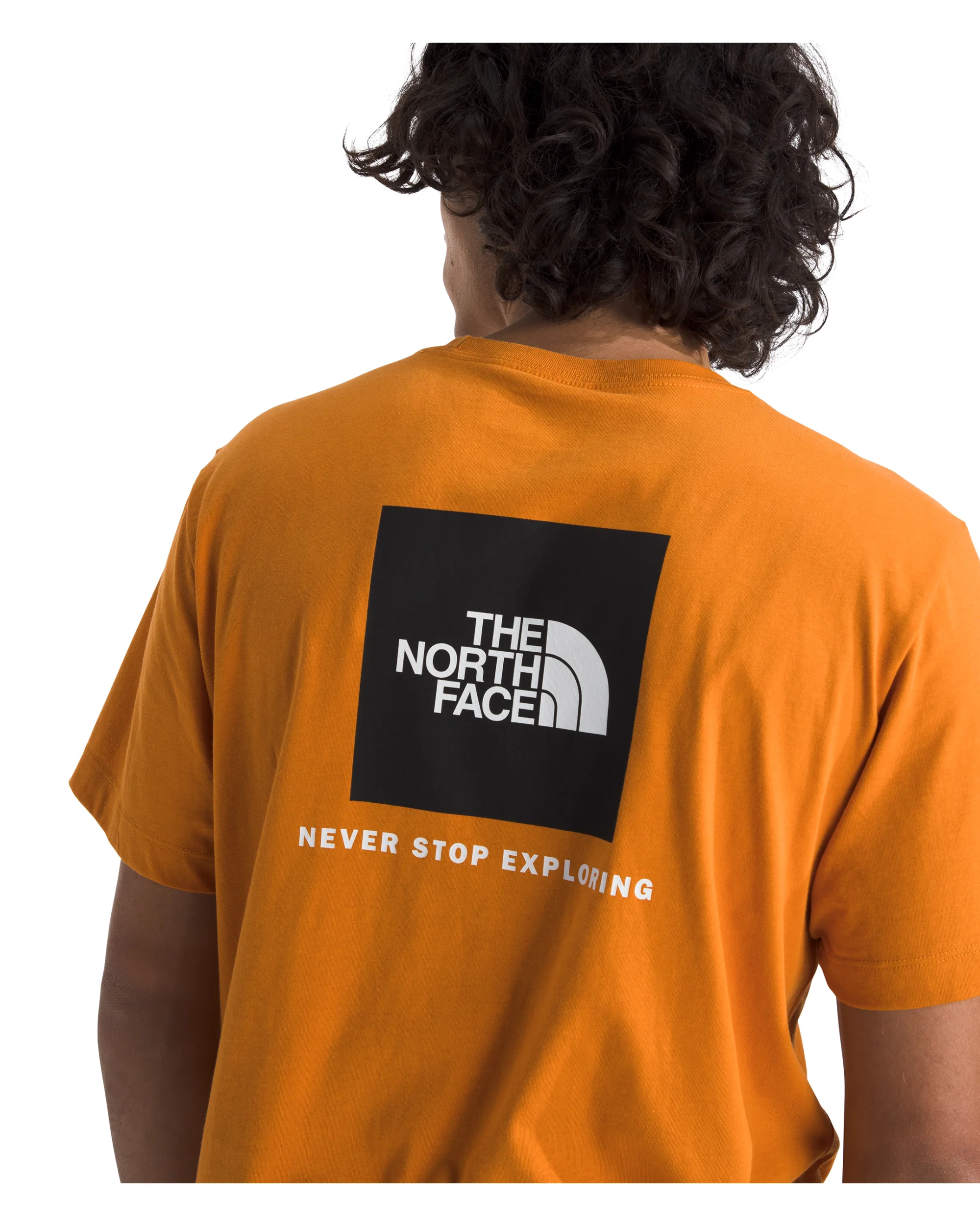 TNF MEN'S EVOLUTION BOX NSE REGULAR SHORT-SLEEVE TEE - ORANGE - Image 3