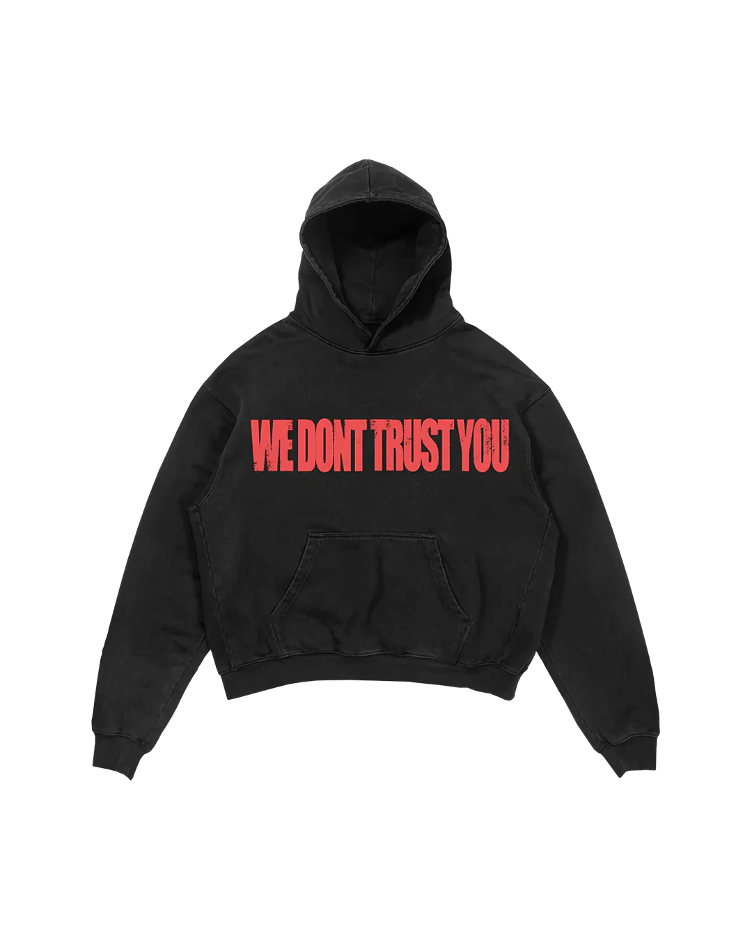 WDTY HOODIE BLACK - Image 2