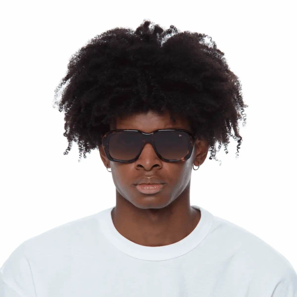 XXL Tortoise Edition Brown Acetate - Image 4